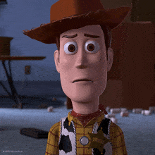 woody from toy story has a sheriff 's badge on his chest