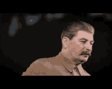 Joseph Stalin Stalin GIF - Joseph Stalin Stalin Look GIFs