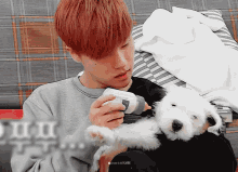 jinhwan ikon kpop dog cute