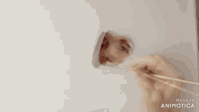 a person is painting a face with a brush and the words made in animotica are visible