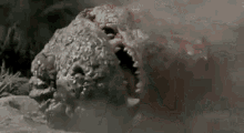 Godzilla Godzilla Vs King Ghidorah GIF