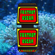 Foxtrot Oscar Fo GIF