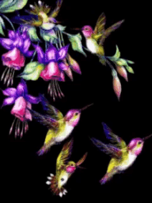 flowers birds