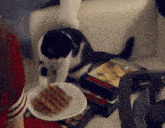 Unuasha Cat GIF - Unuasha Cat Waffle GIFs