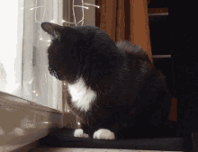 Cat Looking GIF - Cat Looking GIFs