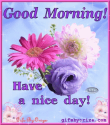 Good Morning Flowers GIF - Good Morning Flowers Daisy GIFs