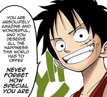 a picture of luffy from one piece with a quote that says " you are absolutely amazing and wonderful "