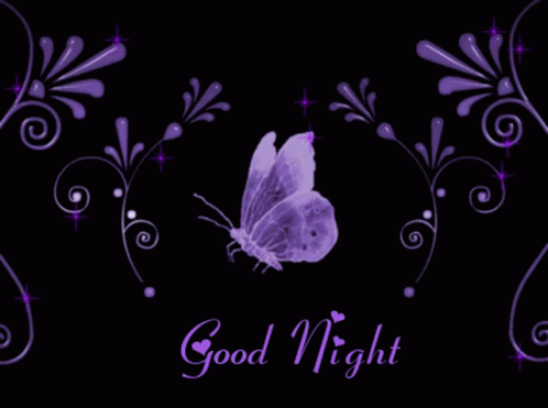 Good Night Butterfly GIF - Good Night Butterfly Heart - Discover ...