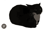 Maxwell Cat GIF - Maxwell Cat GIFs
