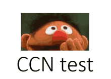Ccntest123 Testingccn GIF