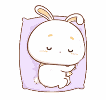 rabbit bedtime