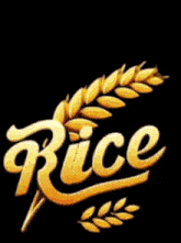 a logo for rice with lightning behind it