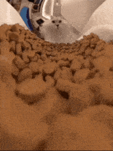 a cat is looking at a pile of dog food