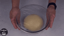 a glass bowl filled with dough is covered with plastic wrap and says knead and bake on the bottom