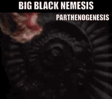 Shriekback Big Black Nemesis GIF - Shriekback Big Black Nemesis Parthenogenesis GIFs