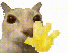 a cat is eating french fries in a pixelated image