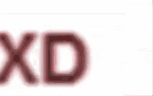 a blurred image of the word xd on a white background .