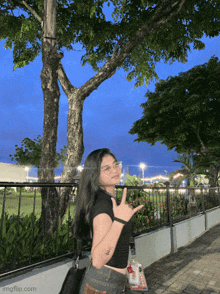 a girl stands in front of a fence with a tree in the background and the url imgflip.com at the bottom