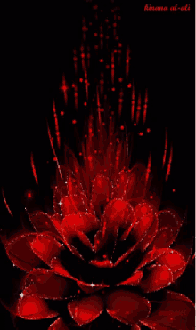 Animation Redflower GIF