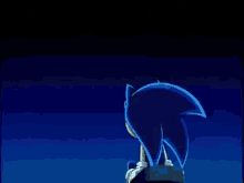Later Sonic X GIF - Later Sonic X Sonic GIFs