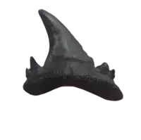 a shark 's tooth is shown on a white surface