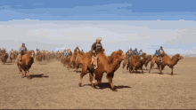 Camel Race Mongolia GIF - Camel Race Mongolia Jockey GIFs