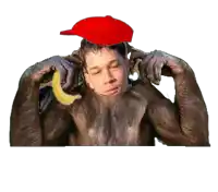 a monkey wearing a red hat and holding a banana on its back