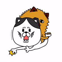 cat kitty kitten gag animals cat kitty kitten gag animals