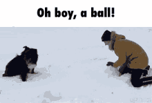 Ball Snow GIF - Ball Snow Dog GIFs