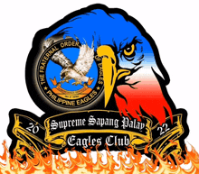 Eagles GIF - Eagles GIFs
