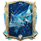 a picture of a shield with the word tots written on it
