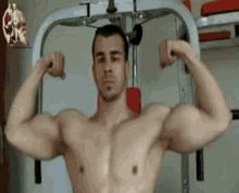 Muscle Growth Muscles GIF - Muscle Growth Muscles Biceps GIFs