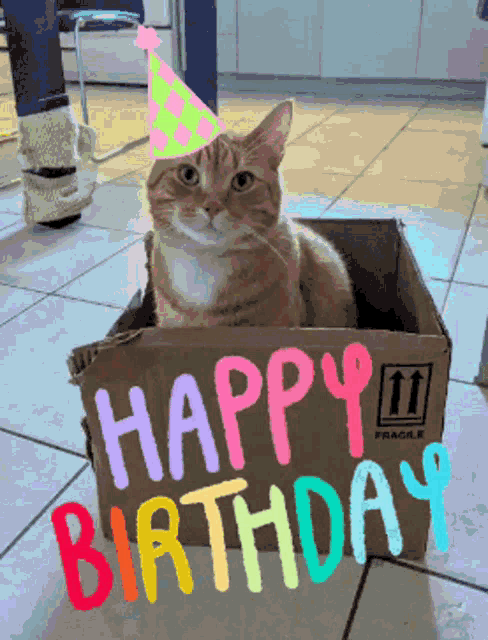 Happy Birthday Cat GIFs