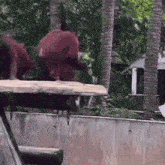 a group of monkeys are standing on top of a wooden platform .