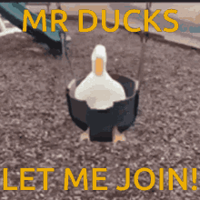 Duck Join GIF - Duck Join For GIFs
