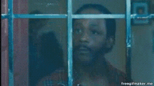 a man is behind a mosquito screen looking out a window .