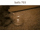 a picture of a cat playing with a bubble that says " balls 703 "