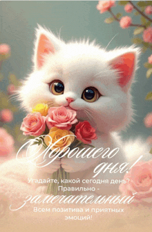 a white cat is holding a bouquet of pink and yellow roses in its mouth