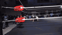 a wrestler in a black shirt with the number 26 on it is in the middle of a wrestling ring