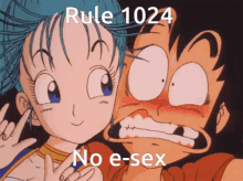 rule1024