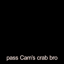 Pass Cams GIF - Pass Cams Crab GIFs