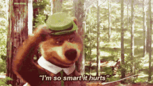 Yogi Bear Im So Smart It Hurts GIF - Yogi Bear Im So Smart It Hurts Im So Smart GIFs