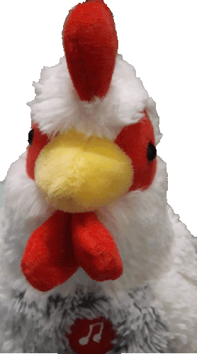 Chicken Cluck Sticker - Chicken Cluck Kogosh Stickers