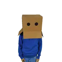 a person with a cardboard box on their head has their hands up