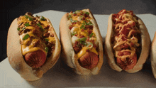 Hot Dogs New York Fries GIF - Hot Dogs New York Fries Loaded Hot Dogs GIFs