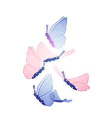 a group of pink and blue butterflies are flying in a circle