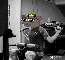 a cartoon of a rat with a crown on his head is doing exercises in a gym with the name stemmi below him