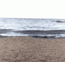 Beach Shore GIF