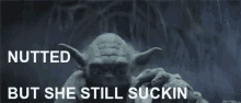 Yoda Star Wars GIF - Yoda Star Wars Nutted But She Still Suckin GIFs