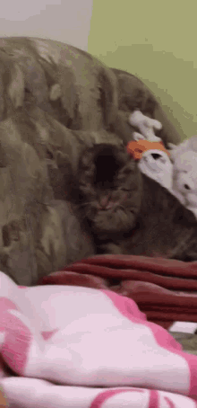 a cat is laying on a couch with a stuffed animal in the background
